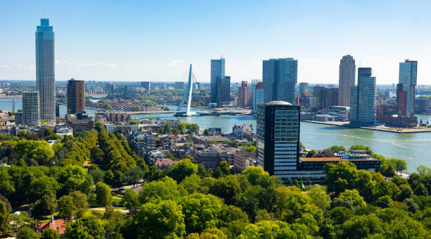 14 Things to Do in Rotterdam